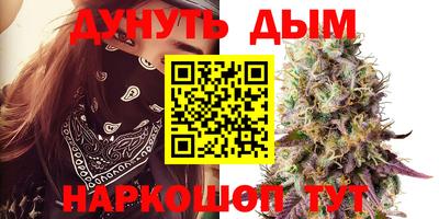 гашик Кимры