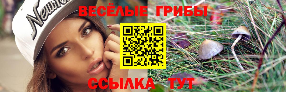 Псилоцибиновые грибы Cubensis  Вход с VPN  Красноуфимск 